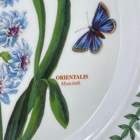 portmeirion botanic garden collection salad plate "orientalis hyacinth" pattern - Picture 5 of 8